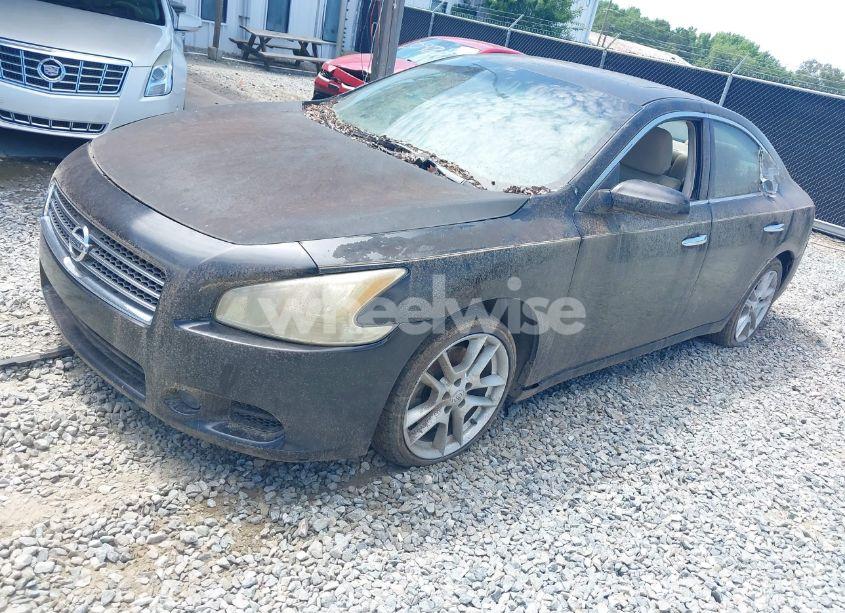 Photo 2 of 2011 Nissan Maxima 3.5 S (VIN 1N4AA5AP9BC834060)