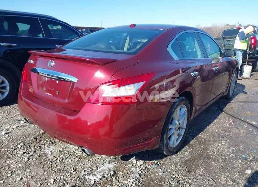 Photo 4 of 2011 Nissan Maxima 3.5 SV (VIN 1N4AA5AP9BC835533)