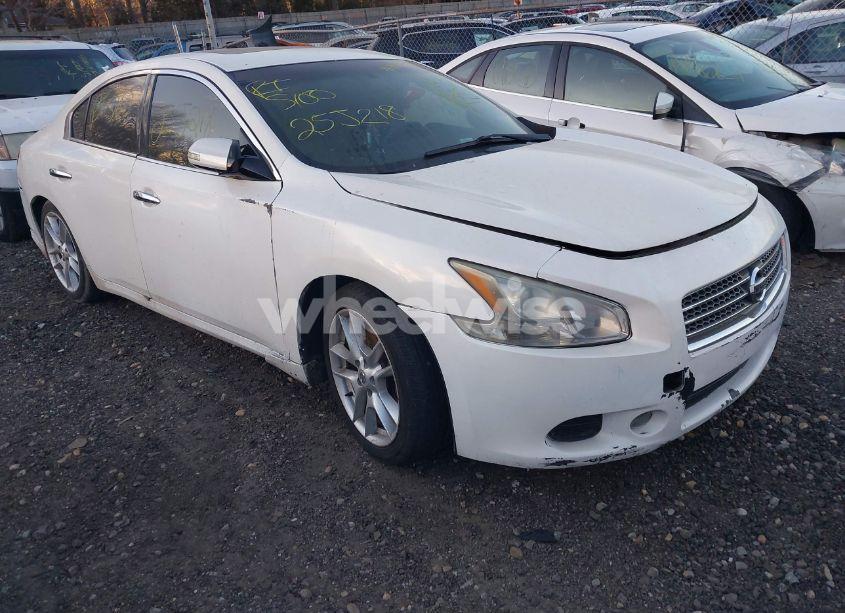 2011 Nissan Maxima 3.5 SV (VIN 1N4AA5AP9BC851117) main photo