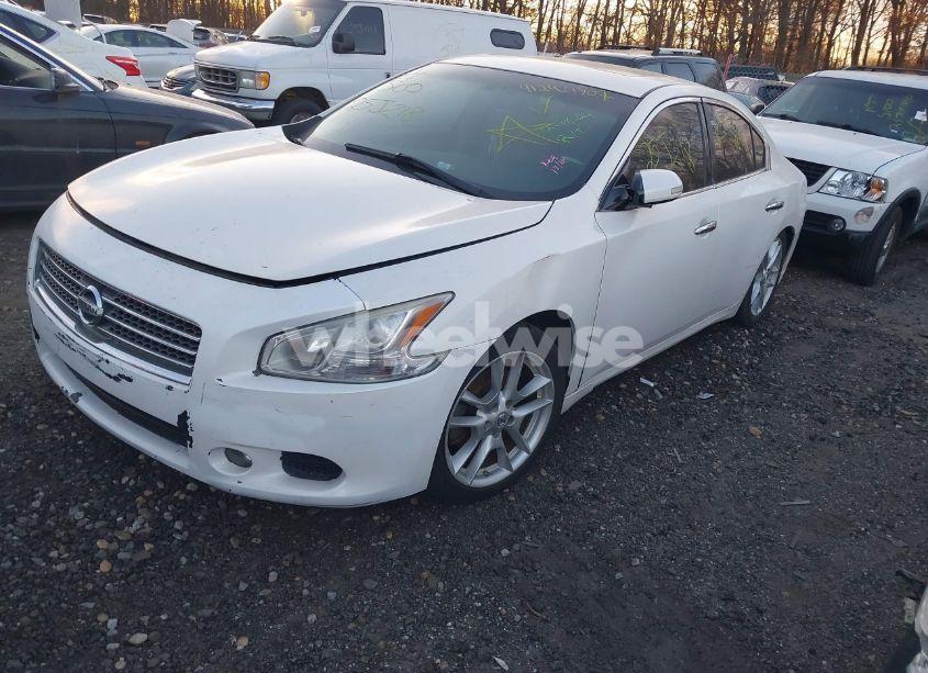 Photo 2 of 2011 Nissan Maxima 3.5 SV (VIN 1N4AA5AP9BC851117)