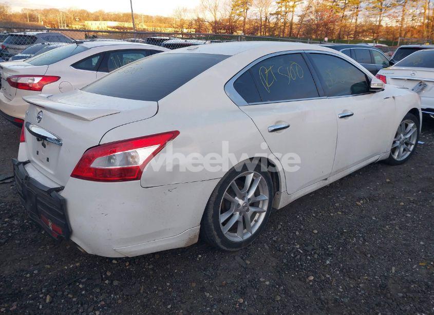 Photo 4 of 2011 Nissan Maxima 3.5 SV (VIN 1N4AA5AP9BC851117)