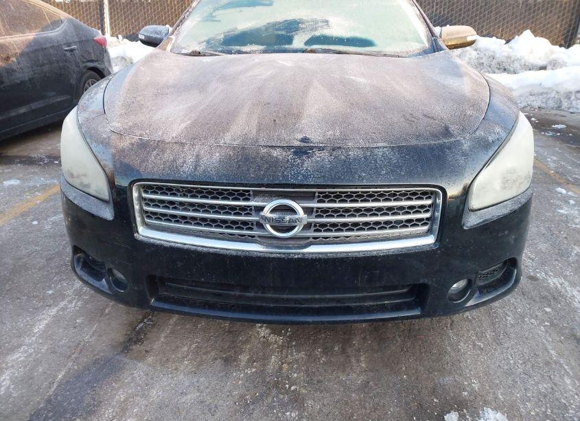 Photo 6 of 2011 Nissan Maxima 3.5 SV (VIN 1N4AA5AP9BC859816)