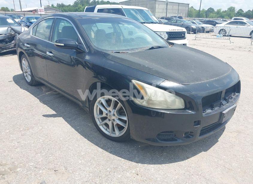 2011 Nissan Maxima 3.5 SV (VIN 1N4AA5AP9BC865311) main photo
