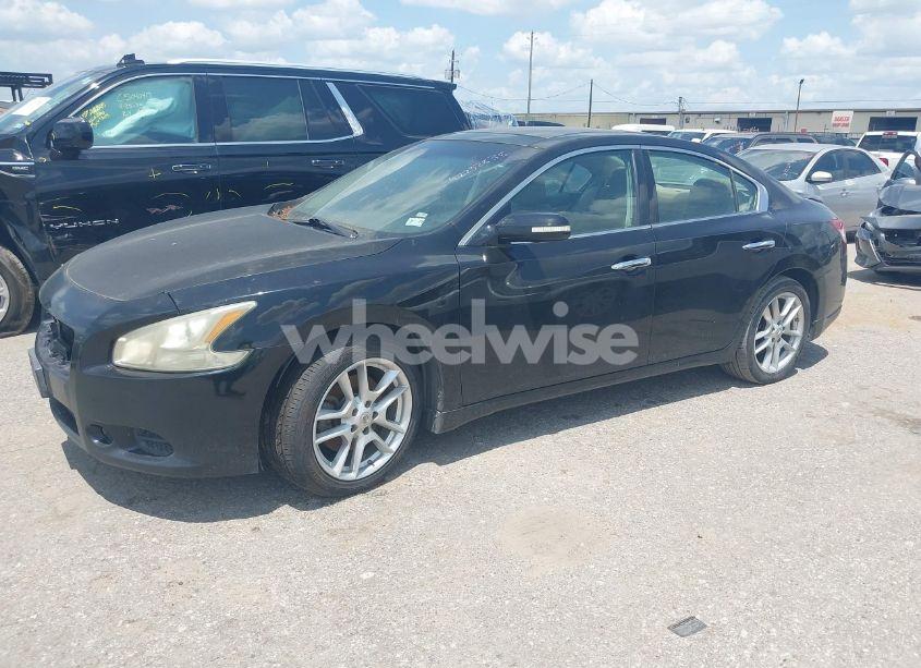Photo 2 of 2011 Nissan Maxima 3.5 SV (VIN 1N4AA5AP9BC865311)
