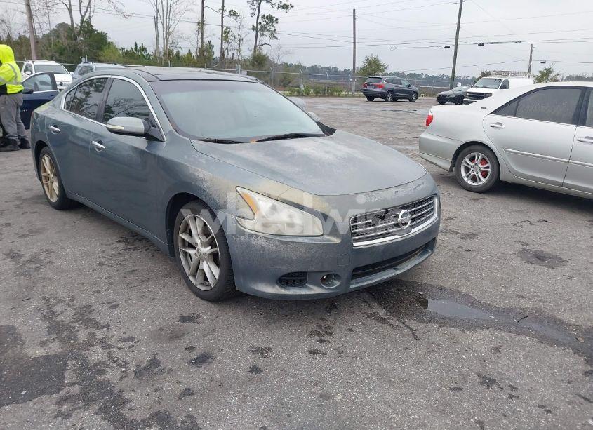 2010 Nissan Maxima 3.5 SV (VIN 1N4AA5APXAC806525) main photo