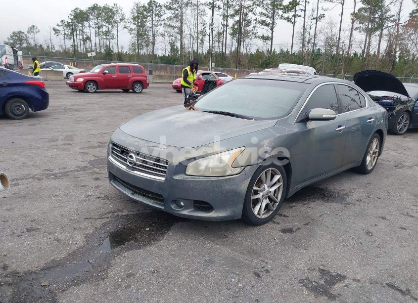 Photo 2 of 2010 Nissan Maxima 3.5 SV (VIN 1N4AA5APXAC806525)