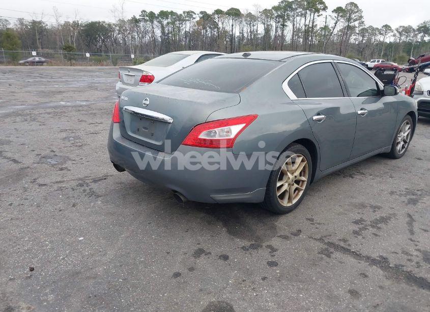 Photo 4 of 2010 Nissan Maxima 3.5 SV (VIN 1N4AA5APXAC806525)
