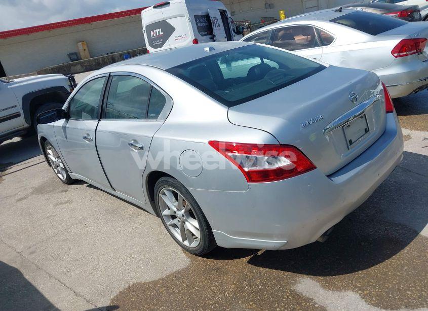 Photo 3 of 2010 Nissan Maxima 3.5 SV (VIN 1N4AA5APXAC816889)