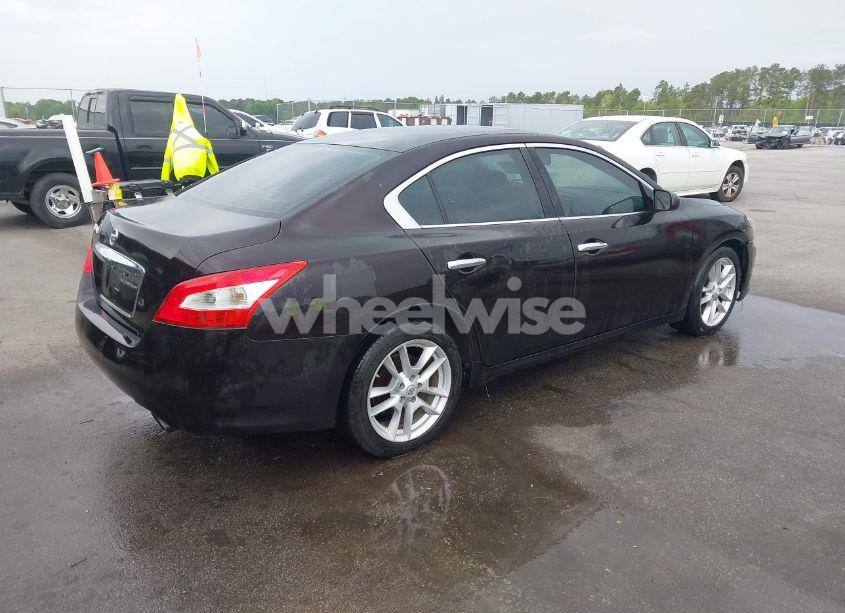 Photo 4 of 2010 Nissan Maxima 3.5 S (VIN 1N4AA5APXAC823597)