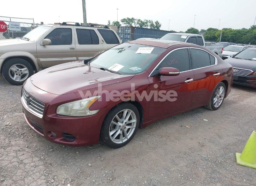Photo 2 of 2010 Nissan Maxima 3.5 SV (VIN 1N4AA5APXAC824698)