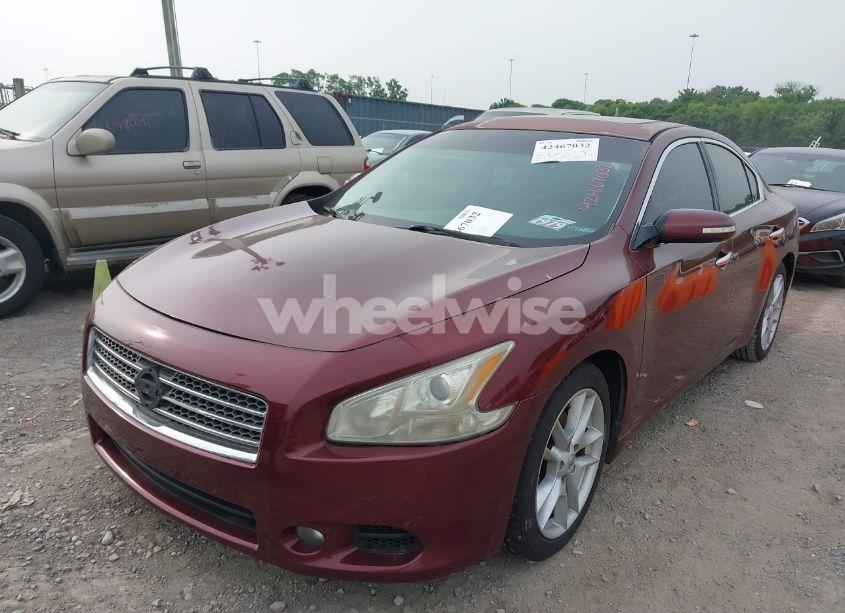 Photo 6 of 2010 Nissan Maxima 3.5 SV (VIN 1N4AA5APXAC824698)