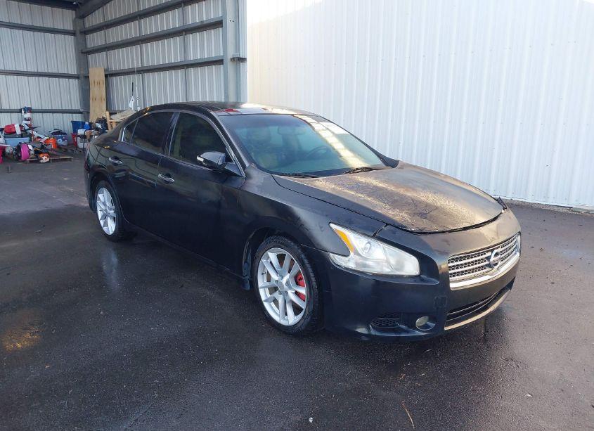 2010 Nissan Maxima 3.5 SV (VIN 1N4AA5APXAC828055) main photo