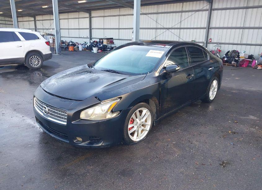Photo 2 of 2010 Nissan Maxima 3.5 SV (VIN 1N4AA5APXAC828055)