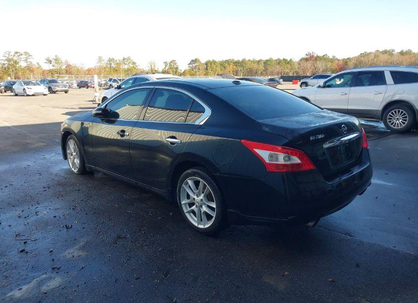 Photo 3 of 2010 Nissan Maxima 3.5 SV (VIN 1N4AA5APXAC828055)