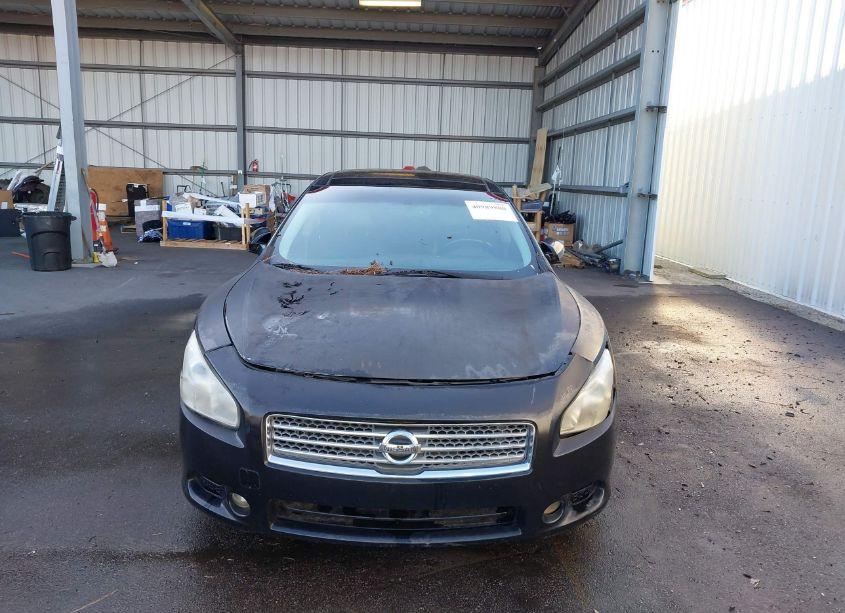 Photo 6 of 2010 Nissan Maxima 3.5 SV (VIN 1N4AA5APXAC828055)