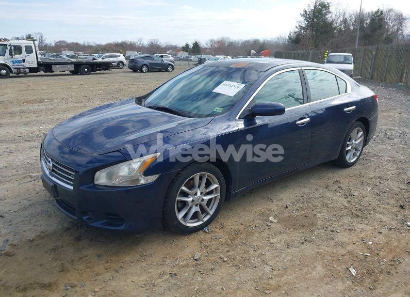 Photo 2 of 2010 Nissan Maxima 3.5 S (VIN 1N4AA5APXAC830310)