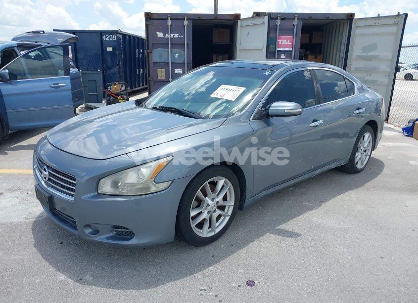 Photo 2 of 2010 Nissan Maxima 3.5 SV (VIN 1N4AA5APXAC844742)