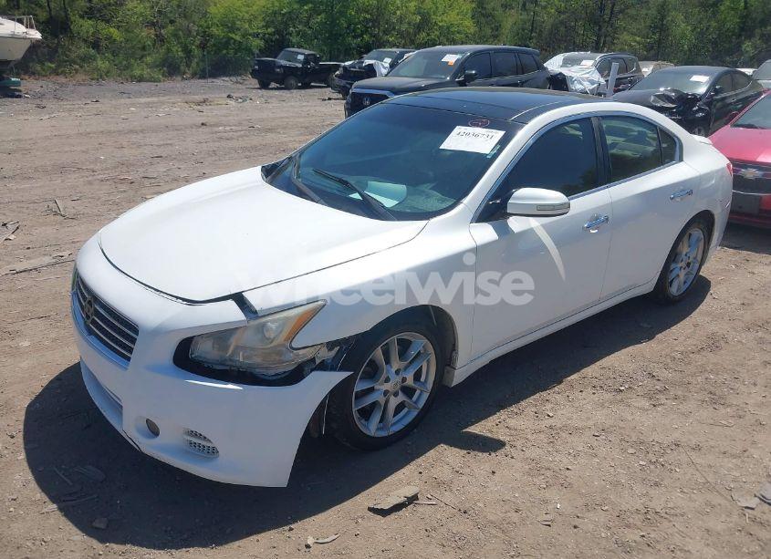 Photo 2 of 2010 Nissan Maxima 3.5 SV (VIN 1N4AA5APXAC846488)