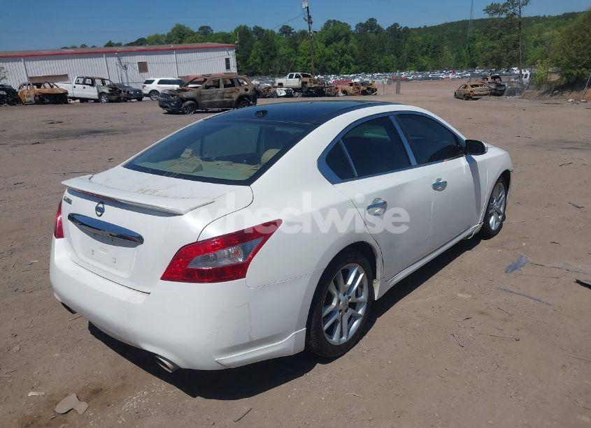 Photo 4 of 2010 Nissan Maxima 3.5 SV (VIN 1N4AA5APXAC846488)