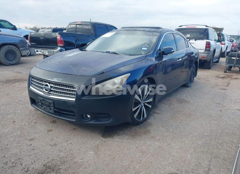 Photo 2 of 2010 Nissan Maxima 3.5 SV (VIN 1N4AA5APXAC856728)
