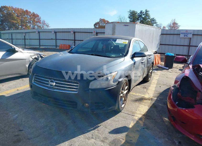 Photo 2 of 2010 Nissan Maxima 3.5 SV (VIN 1N4AA5APXAC860116)
