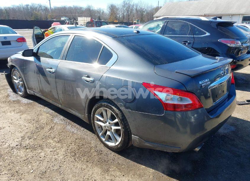 Photo 3 of 2010 Nissan Maxima 3.5 SV (VIN 1N4AA5APXAC861993)