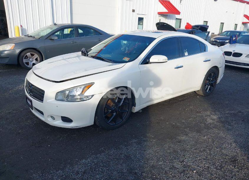 Photo 2 of 2010 Nissan Maxima 3.5 SV (VIN 1N4AA5APXAC863548)