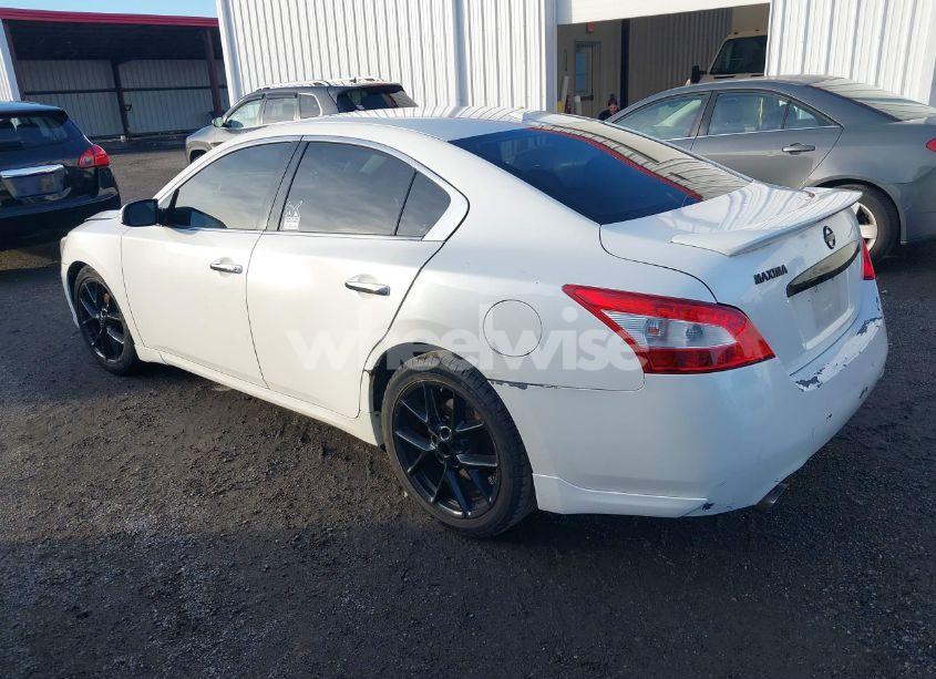 Photo 3 of 2010 Nissan Maxima 3.5 SV (VIN 1N4AA5APXAC863548)