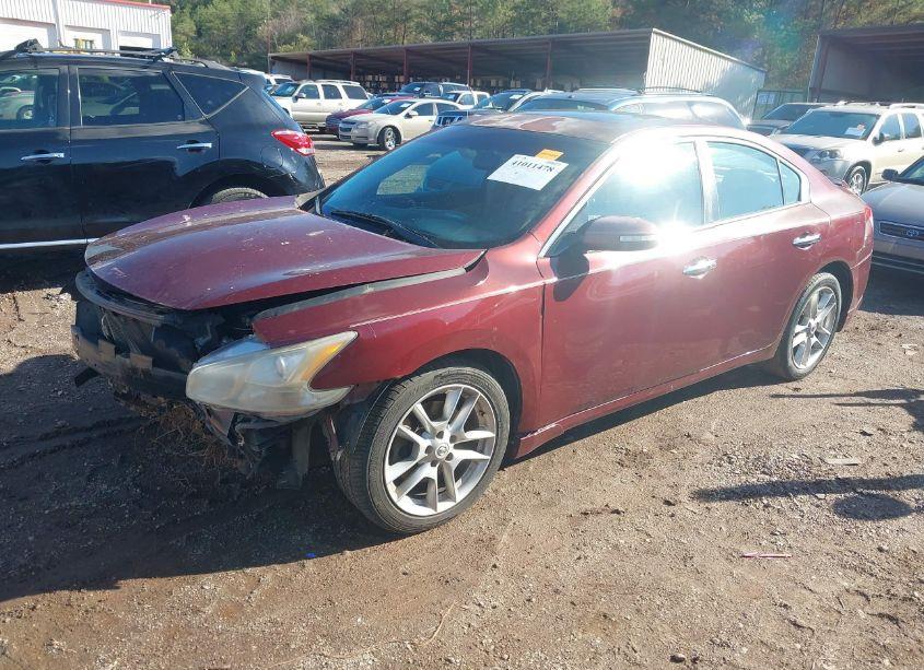 Photo 2 of 2010 Nissan Maxima 3.5 SV (VIN 1N4AA5APXAC872203)