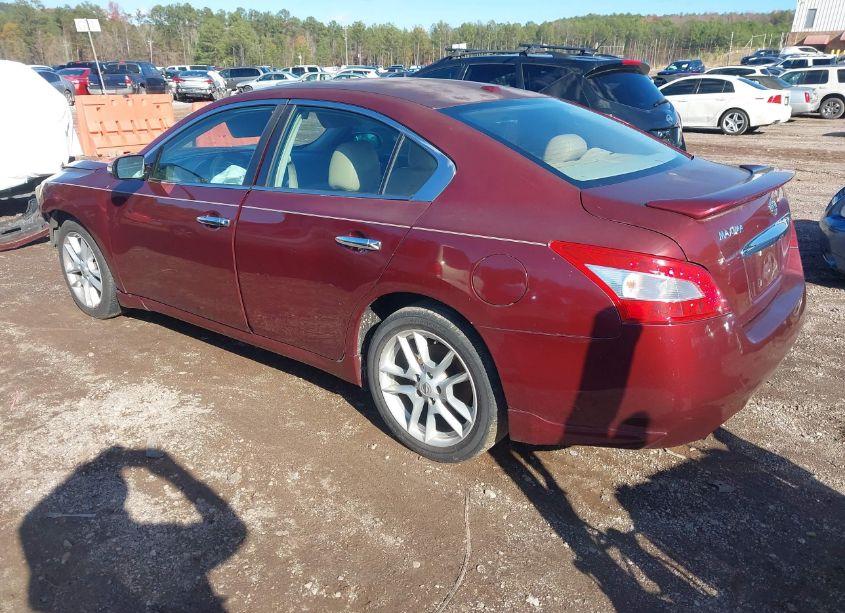 Photo 3 of 2010 Nissan Maxima 3.5 SV (VIN 1N4AA5APXAC872203)
