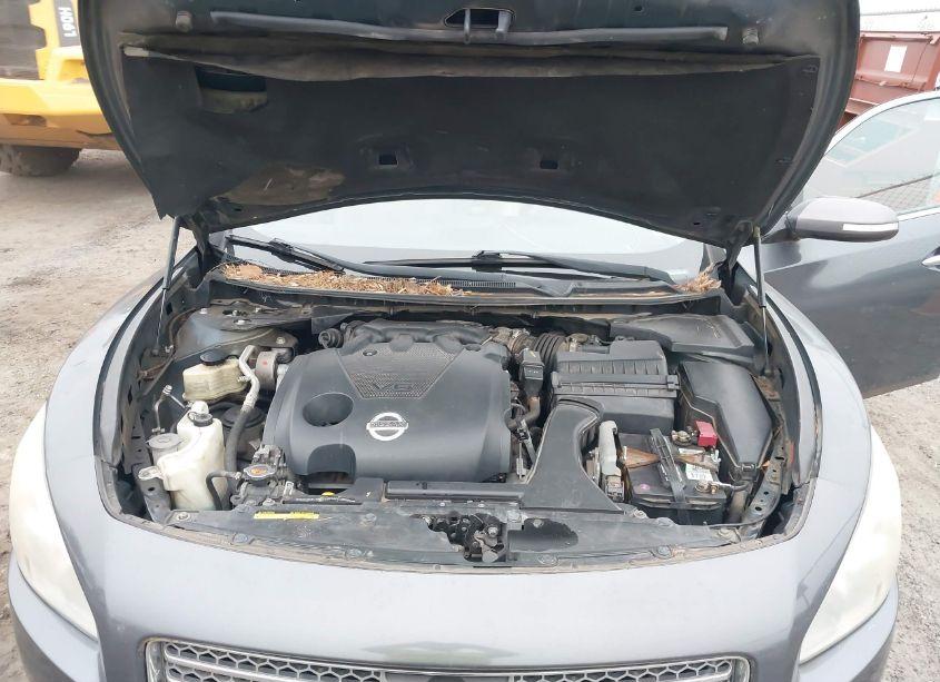 Photo 10 of 2011 Nissan Maxima 3.5 SV (VIN 1N4AA5APXBC808194)