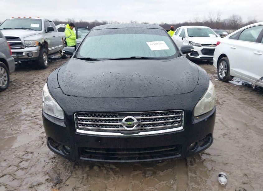 Photo 12 of 2011 Nissan Maxima 3.5 SV (VIN 1N4AA5APXBC809619)