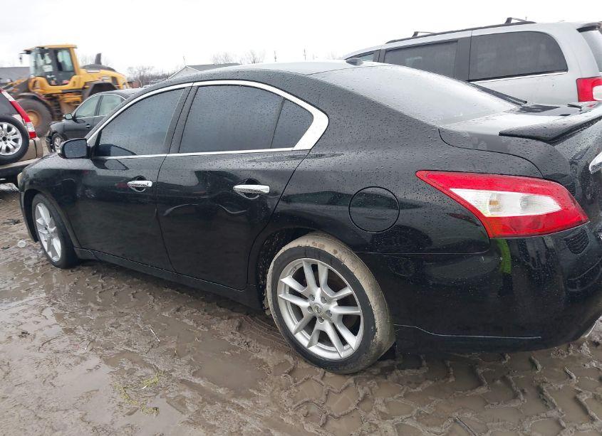 Photo 14 of 2011 Nissan Maxima 3.5 SV (VIN 1N4AA5APXBC809619)