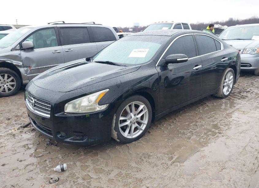 Photo 2 of 2011 Nissan Maxima 3.5 SV (VIN 1N4AA5APXBC809619)