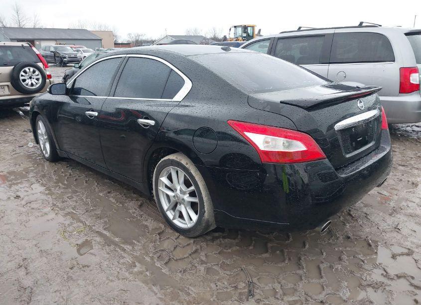 Photo 3 of 2011 Nissan Maxima 3.5 SV (VIN 1N4AA5APXBC809619)