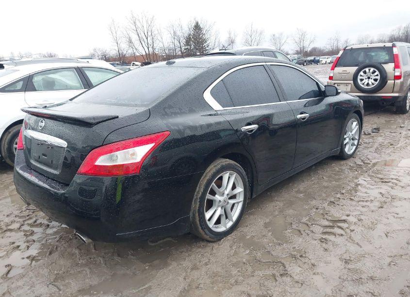 Photo 4 of 2011 Nissan Maxima 3.5 SV (VIN 1N4AA5APXBC809619)