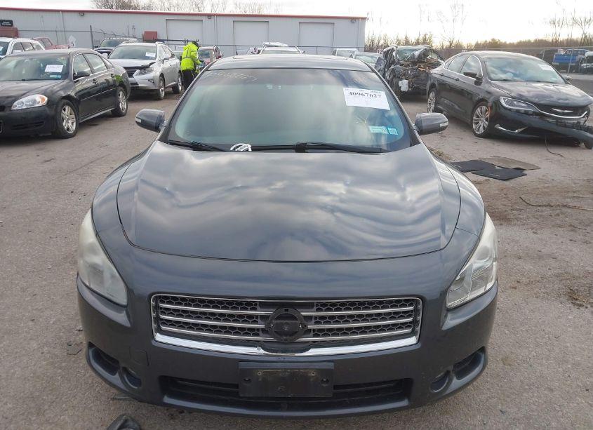 Photo 12 of 2011 Nissan Maxima 3.5 SV (VIN 1N4AA5APXBC810091)