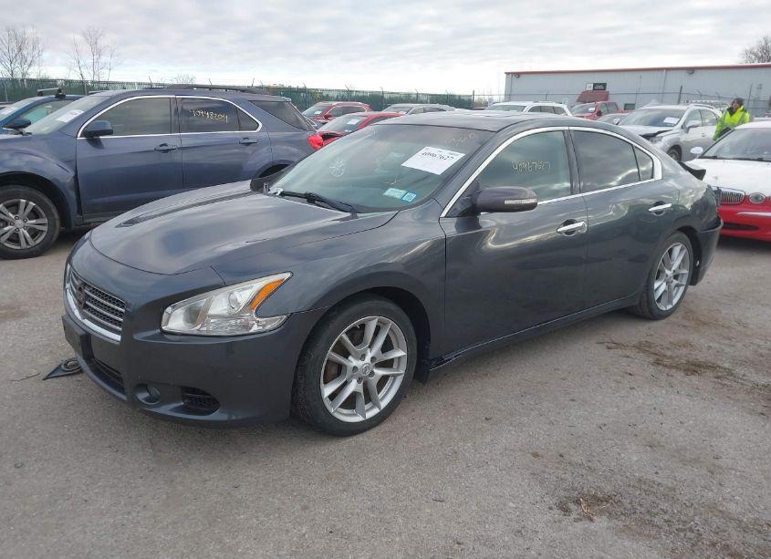 Photo 2 of 2011 Nissan Maxima 3.5 SV (VIN 1N4AA5APXBC810091)