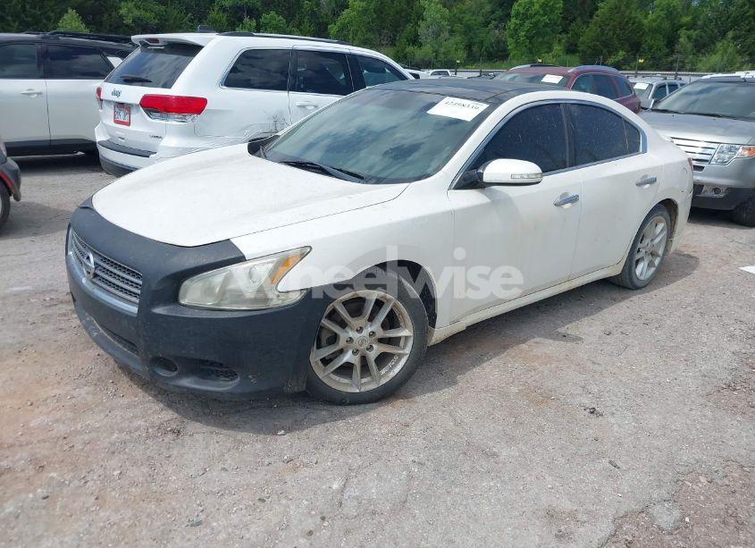 Photo 2 of 2011 Nissan Maxima 3.5 SV (VIN 1N4AA5APXBC841261)