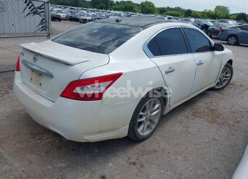 Photo 4 of 2011 Nissan Maxima 3.5 SV (VIN 1N4AA5APXBC841261)