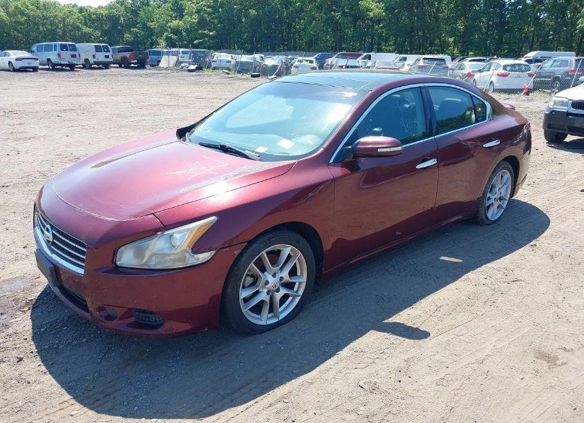 Photo 2 of 2011 Nissan Maxima 3.5 SV (VIN 1N4AA5APXBC843060)