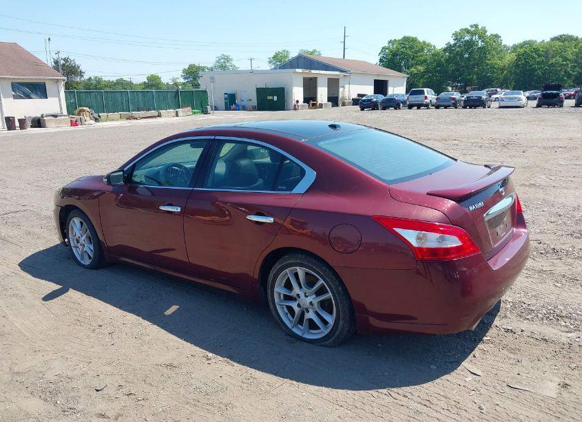 Photo 3 of 2011 Nissan Maxima 3.5 SV (VIN 1N4AA5APXBC843060)