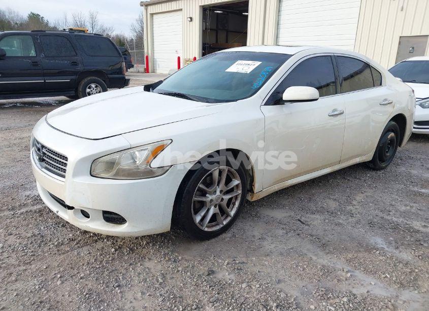 Photo 2 of 2011 Nissan Maxima 3.5 S (VIN 1N4AA5APXBC862952)