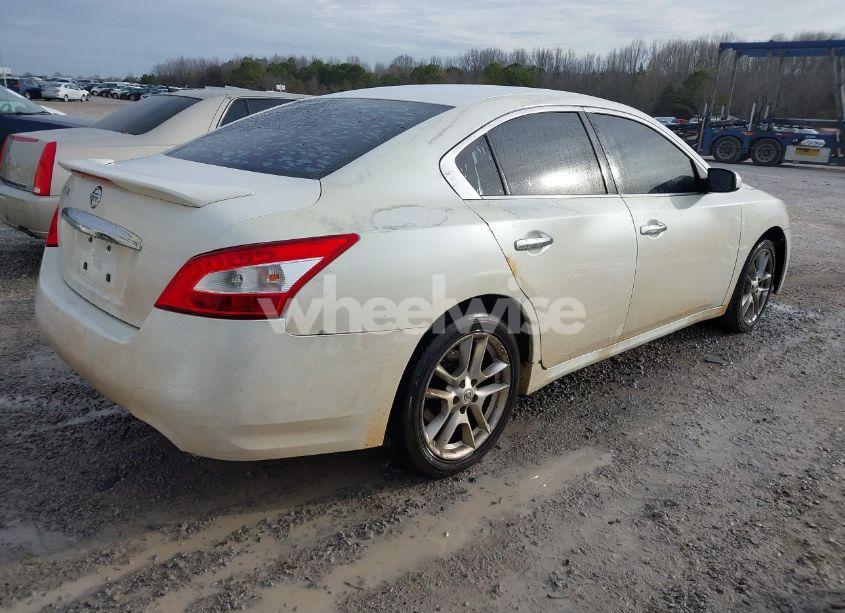 Photo 4 of 2011 Nissan Maxima 3.5 S (VIN 1N4AA5APXBC862952)