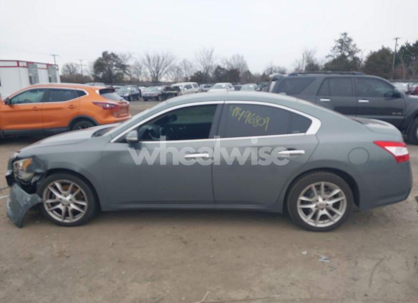 Photo 13 of 2011 Nissan Maxima 3.5 SV (VIN 1N4AA5APXBC869318)