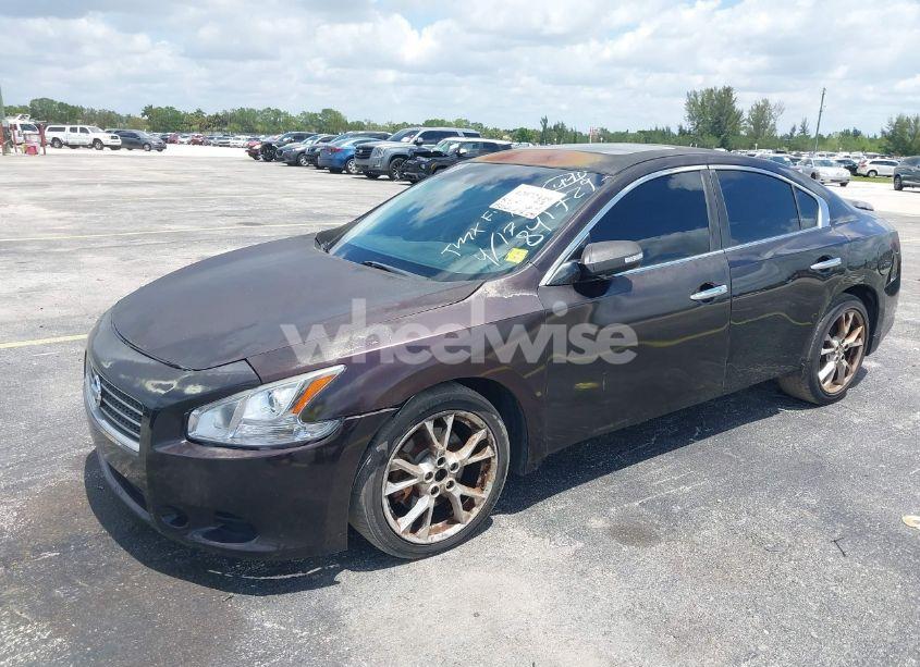Photo 2 of 2012 Nissan Maxima 3.5 SV (VIN 1N4AA5APXCC841729)