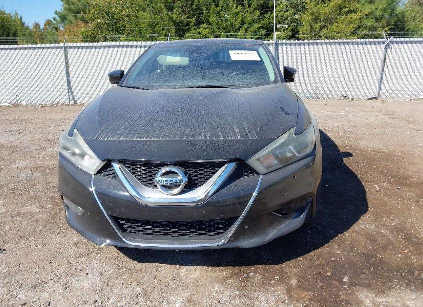 Photo 12 of 2016 Nissan Maxima 3.5 PLATINUM (VIN 1N4AA6AP9GC903701)