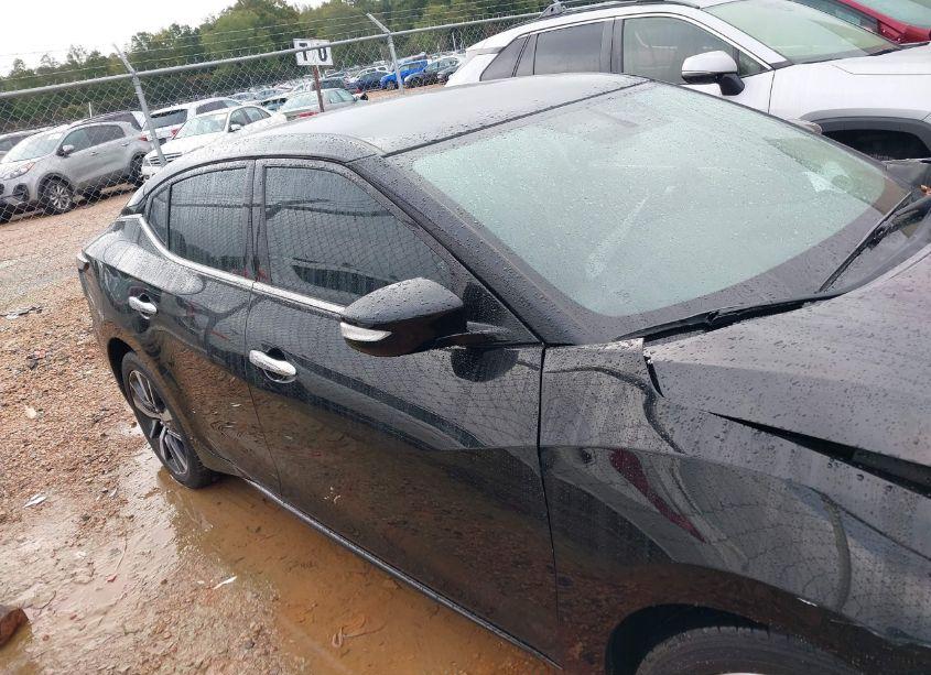 Photo 12 of 2019 Nissan Maxima 3.5 SV (VIN 1N4AA6AV0KC360939)