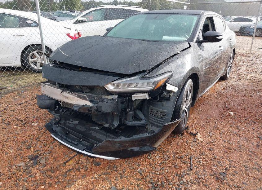 Photo 6 of 2019 Nissan Maxima 3.5 SV (VIN 1N4AA6AV0KC360939)