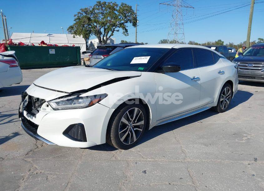 Photo 2 of 2019 Nissan Maxima 3.5 S (VIN 1N4AA6AV0KC368751)